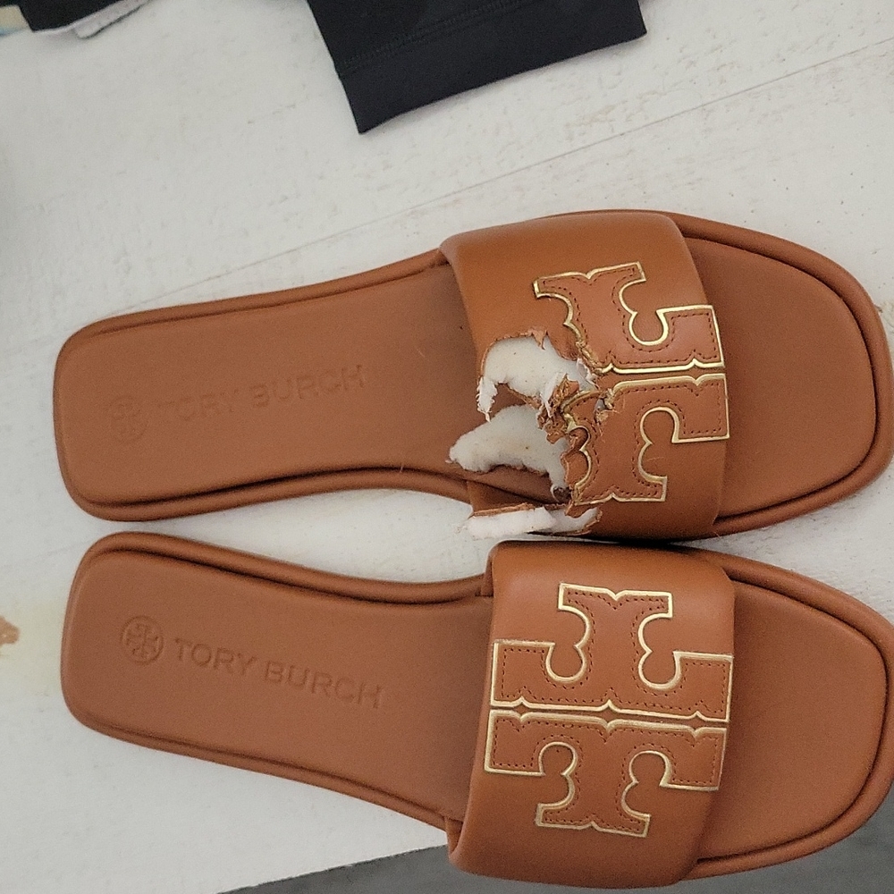 Tory Burch, that my dog ate.